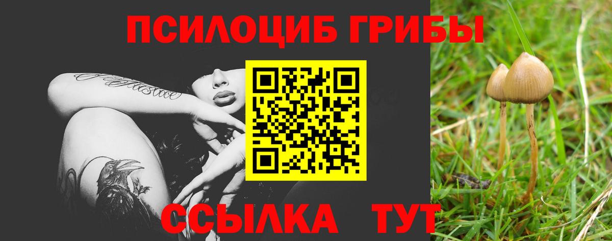 Верхняя Пышма  Псилоцибиновые грибы ЛСД  Вход с VPN 